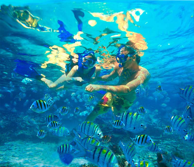 Aventura en Lancha Rápida Snorkel y Fiesta en la Piscina Natural desde Cap Cana