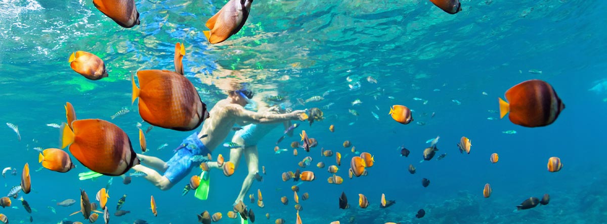 Aventura en Lancha Rápida Snorkel y Fiesta en la Piscina Natural desde Cap Cana