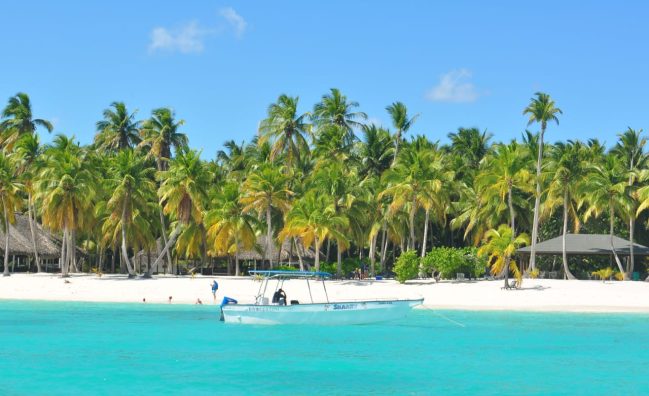Excursión de un día a la Isla Saona desde Santo Domingo
