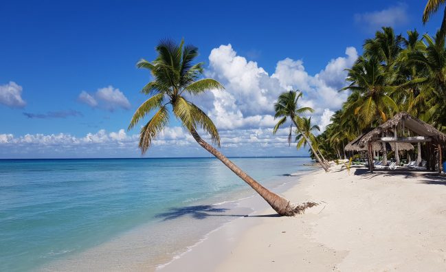 Excursión de un día a la Isla Saona desde Samaná